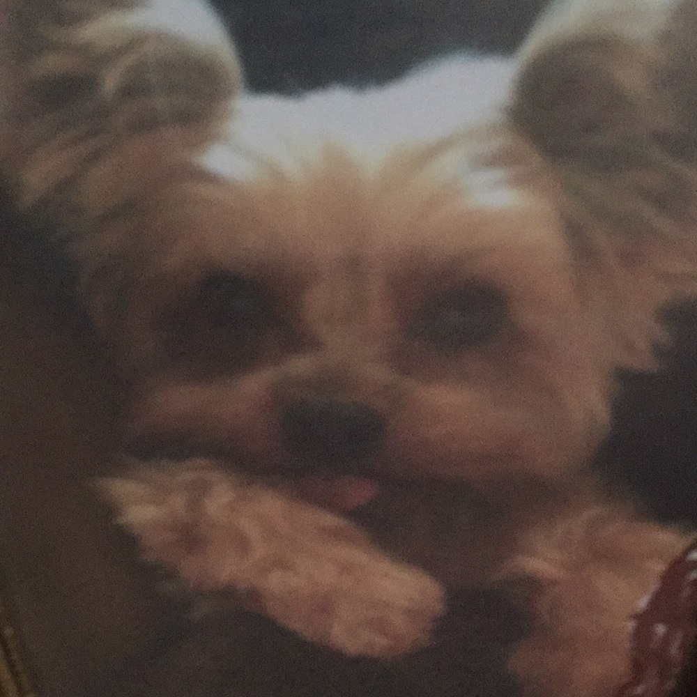 Meet your Posher, Patty